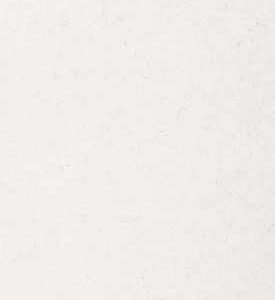 5141 Frosty Carrina 5141 Frosty Carrina